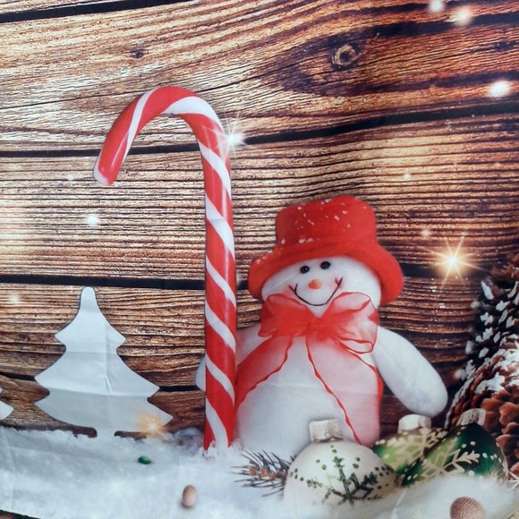 Christmas scene print photo backdrop silk like material 82 inch wide 57 inch H - Picture 1 of 4